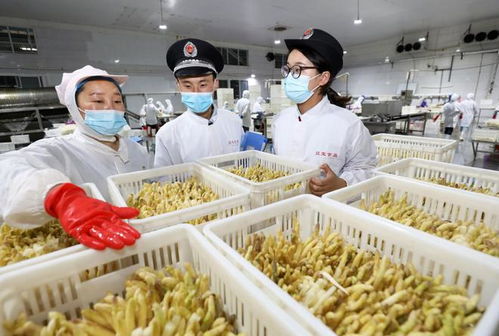 网络销售特殊食品安全合规指南发布，指引酒类等特殊食品经营规范发展